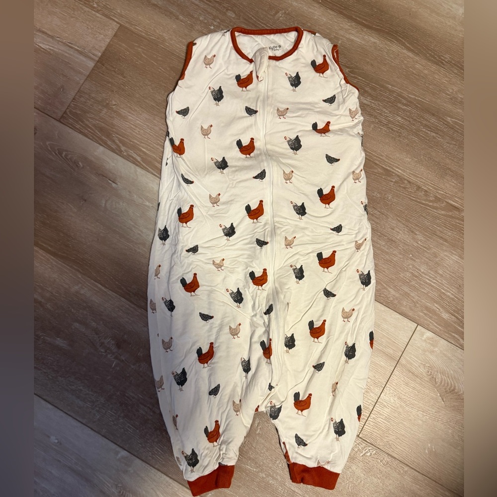 Kyte baby sleepwalker chickens